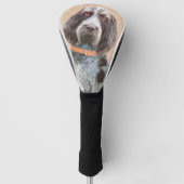 Spinone Italiano Malerei - Niedliche Original Hund Golf Headcover (Vorderseite)