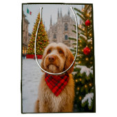 Spinone Italiano  Mittlere Geschenktüte (Vorderseite)