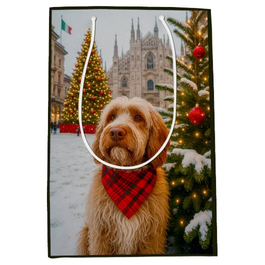 Spinone Italiano  Mittlere Geschenktüte (Vorderseite)
