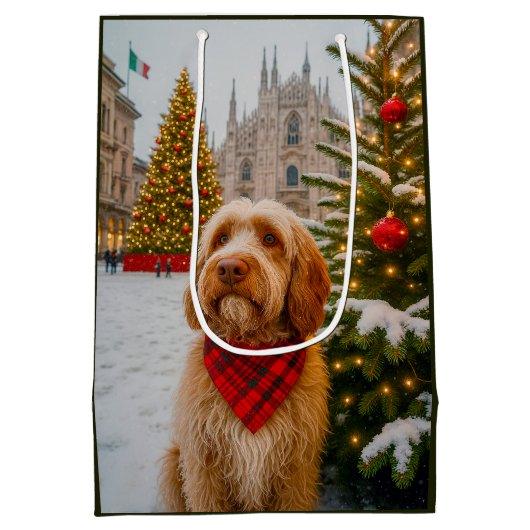 Spinone Italiano  Mittlere Geschenktüte (Rückseite)