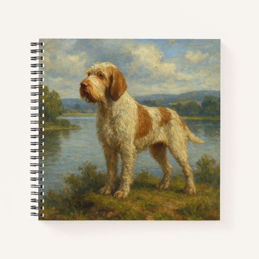 Spinone Italiano Notizblock (Vorderseite)