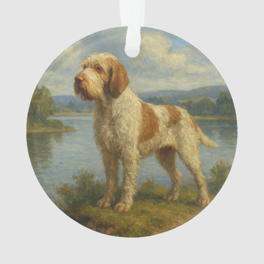 Spinone Italiano Ornament (Rückseite)