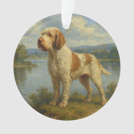 Spinone Italiano Ornament (Vorderseite)