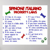 SPINONE ITALIANO PL2 POSTER (Vorne)