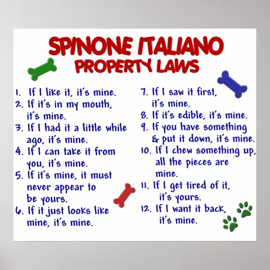 SPINONE ITALIANO PL2 POSTER (Vorne)