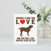 Spinone Italiano Postkarte (Stehend Vorderseite)