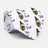 Spinone Italiano Trick Krawatte (Gerollt)