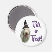 Spinone Italiano Trick Magnet (Vorderseite/Rückseite)