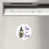 Spinone Italiano Trick Magnet (In Situ (Geschirrspüler))