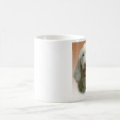 Spinone Italiano Türkei Kaffeetasse (Mittel)