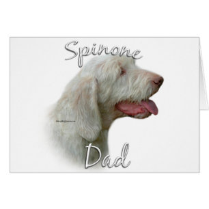 Spinone Italiano Vater 2