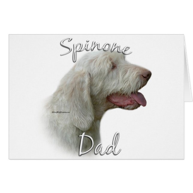Spinone Italiano Vater 2 (Vorderseite (Horizontal))