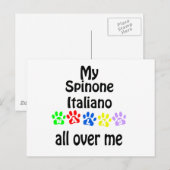 Spinone Italiano Walks Design Postkarte (Vorne/Hinten)