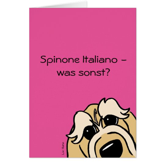 Spinone Italiano - was sonst? Karte