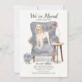 Spinone Italiano Wir haben Bewegung Ankündigung (Vorderseite)