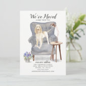 Spinone Italiano Wir haben Bewegung Ankündigung (Stehend Vorderseite)