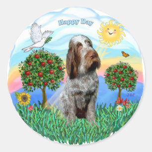 Spinone Italilano (Roan 11) Runder Aufkleber