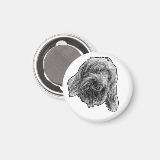 Spinone Kitchen Ease Magnet (Vorderseite/Rückseite)
