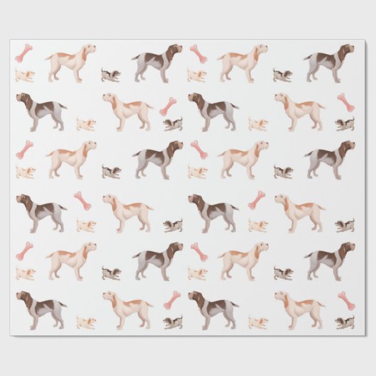 Spinone Packpapier (Flach)