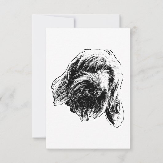 Spinone sanfte Dankbarkeit Dankeskarte (Vorderseite)