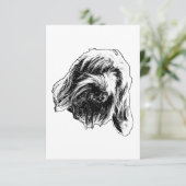 Spinone sanfte Dankbarkeit Dankeskarte (Stehend Vorderseite)