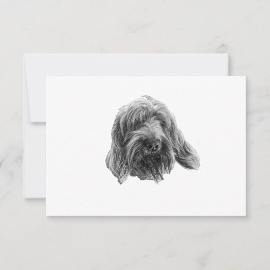 Spinone Stille Dankbarkeit Dankeskarte (Vorderseite)
