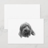 Spinone Stille Dankbarkeit Dankeskarte (Vorne/Hinten)