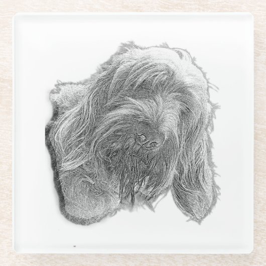 Spinone Stillness – Artisan Coaster Glasuntersetzer (Vorderseite)
