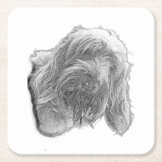 Spinone Stillness – Artisan Coaster Rechteckiger Pappuntersetzer (Vorderseite)