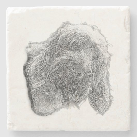 Spinone Stillness – Artisan Coaster Steinuntersetzer (Vorderseite)