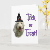 Spinone Trick Grußkarte Karte (Gelbe Blume)