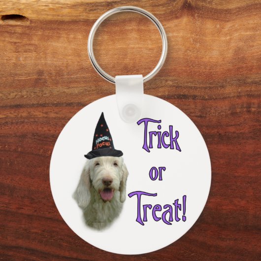 Spinone Trick Schlüsselanhänger (Vorderseite)