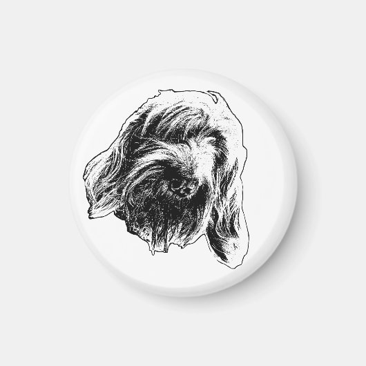 Spinone Warm Counter Magnet (Vorne)