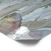 Spinosaurus dinosaurier fressen Fisch - 3D rendern Poster (Ecke)