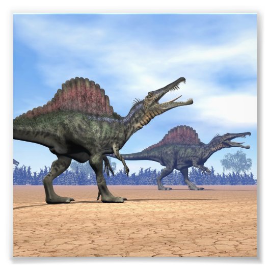 Spinosaurus-Dinosaurier-Spaziergang - 3D-Darstellu Fotodruck (Vorne)