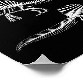 Spinosaurus mirabilis neuer Dinosaurier-Fossil Poster (Ecke)