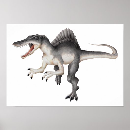 Spinosaurus Poster (Vorne)