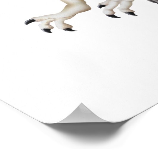 Spinosaurus Poster (Ecke)