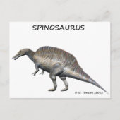 Spinosaurus Postkarte (Vorderseite)