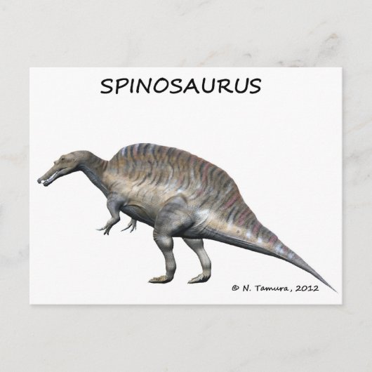 Spinosaurus Postkarte (Vorderseite)