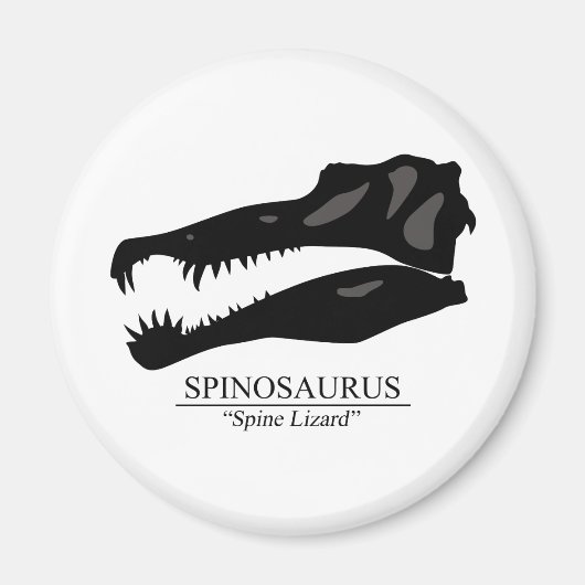 Spinosaurus Skull Magnet (Vorne)