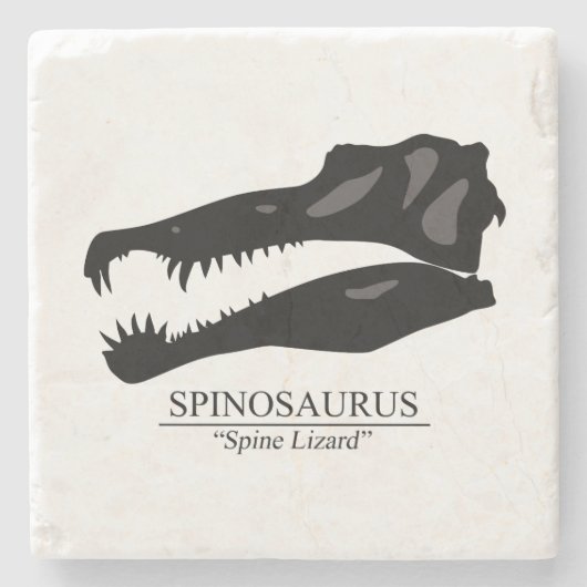 Spinosaurus Skull Steinuntersetzer (Vorderseite)