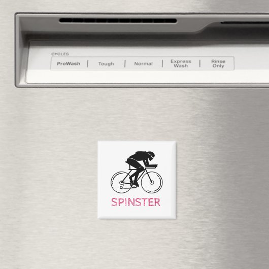 Spinster Fun Design Magnet (In Situ (Geschirrspüler))