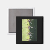 Spiny Cactus Closeup Vertikaler Sticker Magnet (Vorderseite/Rückseite)