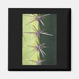 Spiny Cactus Closeup Vertikaler Sticker Magnet