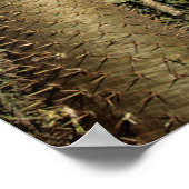 Spiny Forest aus Pachypodium-Bäumen Poster (Ecke)