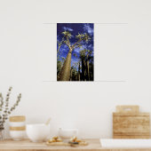 Spiny Forest aus Pachypodium-Bäumen Poster (Küche)