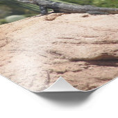 Spiny-Schwänze Iguana Fotodruck (Ecke)