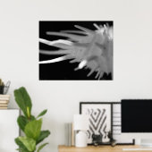 Spiny Seashell BW Fotograf - Große Printwerbung Poster (Heimbüro)
