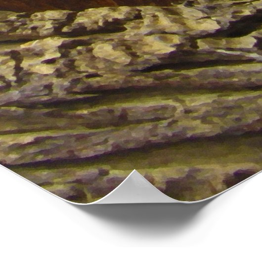 Spiny-Tail Lizard Cordylus Tropidosternum Poster (Ecke)